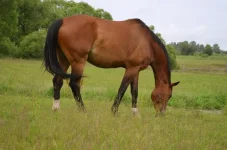 vtD_OUZsPUE.webp