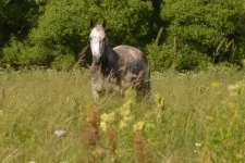 uoZZ2GPzSBs.webp