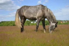 -gXZ44KXRC4.webp
