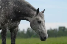 MFrS4hS6h0U.webp