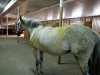 DSCN5593.JPG