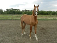DSCN0496.webp