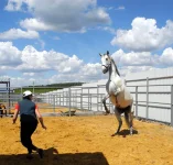 DSCN5608.webp