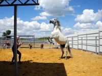 DSCN5609.webp