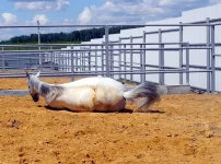 DSCN5612.webp