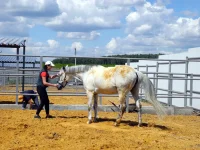 DSCN5614.webp