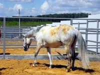 DSCN5615.webp