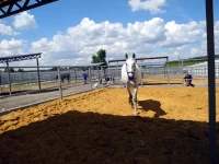 DSCN5618.webp