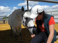 DSCN5622.webp