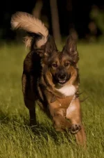 cY1VxHDhUkM.webp