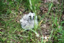 IMG_8776.webp