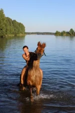 image.webp