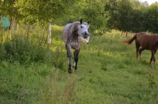 F7e_45lLVRY.webp