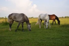 FHJy5Uqn6Ys.webp