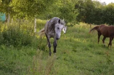 sQ6UQWvTDFM.webp