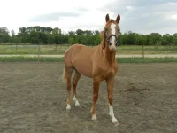 DSCN0496.webp