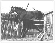Манганин (190).webp