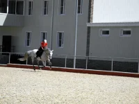 DSCN5660.webp