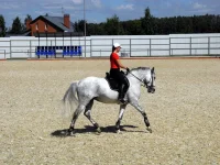 DSCN5670.webp