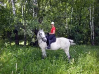 DSCN5688.webp