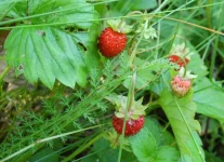 DSCN5703_crr.webp