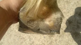 1KVCVk8xg2A.webp