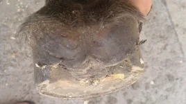 7JQtjVRtX8I.webp