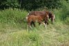 DSC06178.JPG
