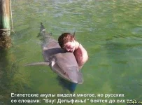 1044339_507366689333848_1042187250_n.webp