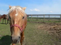 P1090275_новый размер.webp