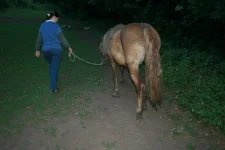 Отшагиваемся вид сзади.webp