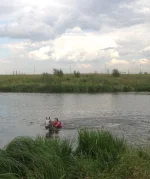 image.webp