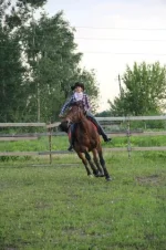 getImage (18).webp