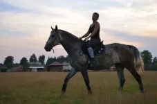 gMkDfF3cOQ8.webp