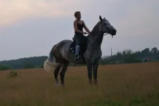 l3CxCWnMasc.webp