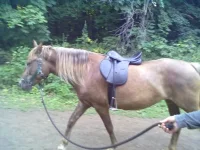 08072013107.webp