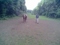 08072013109.webp