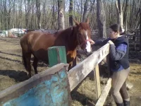 01052013088.webp