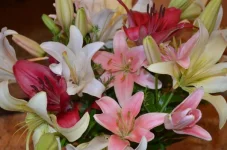 LYrj7pshlEY.webp
