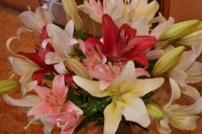 utF5m_lOoDw.webp