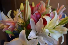 y8gTfmxmwb4.webp