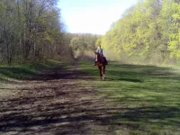 02052013094.webp