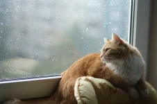 pmqi_pDhVmw.webp