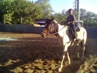 11072012062.webp
