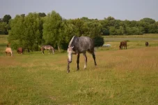 MV6MxFJ0sGA.webp