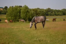 s5HB5uKa_LA.webp