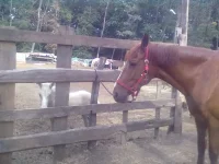 11072013112.webp
