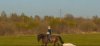 20200511_221627.jpg
