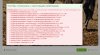 bug.jpg
