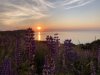 74CB119D-BD42-436B-8656-5D4AC77B31B6.jpeg